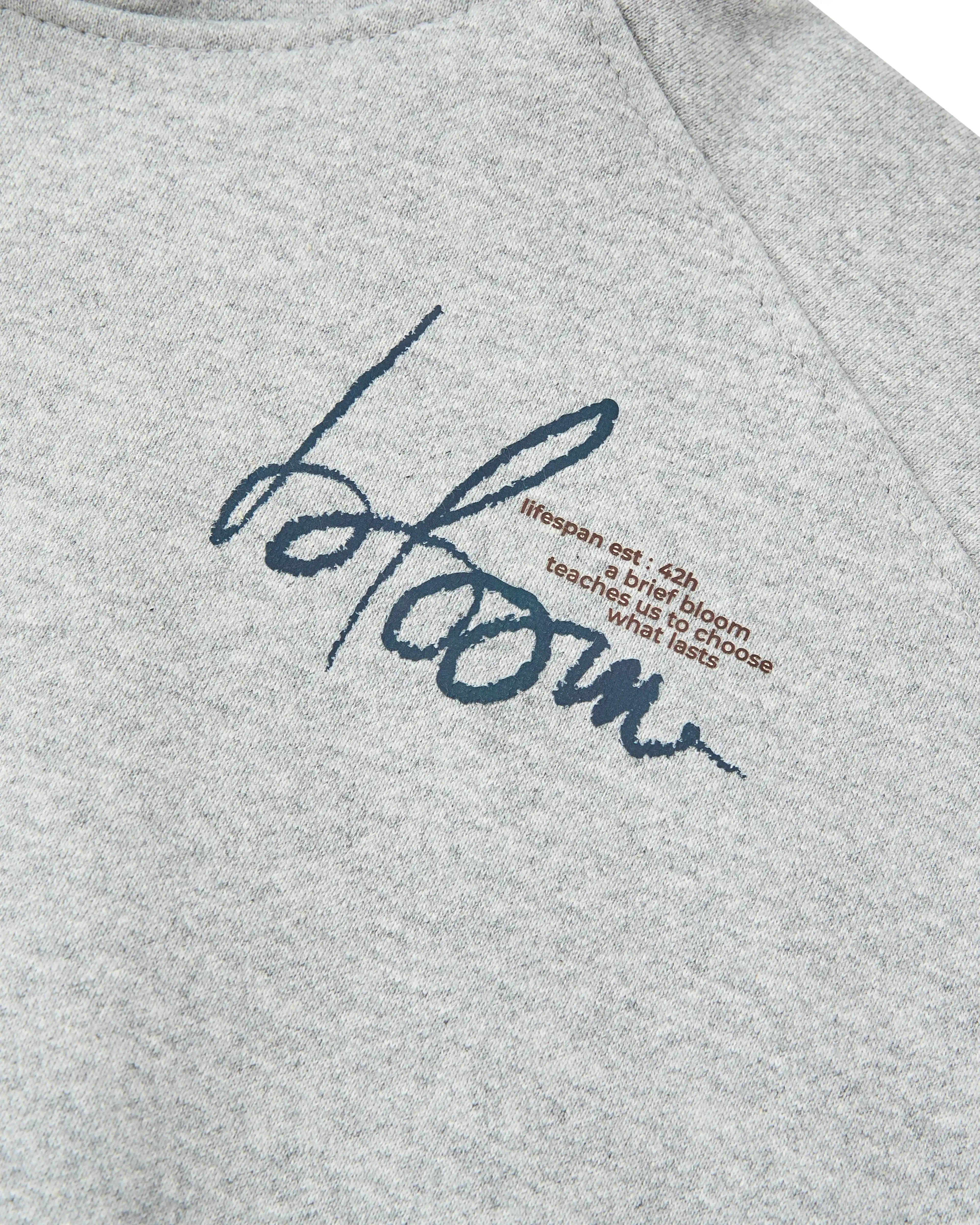 Bloom